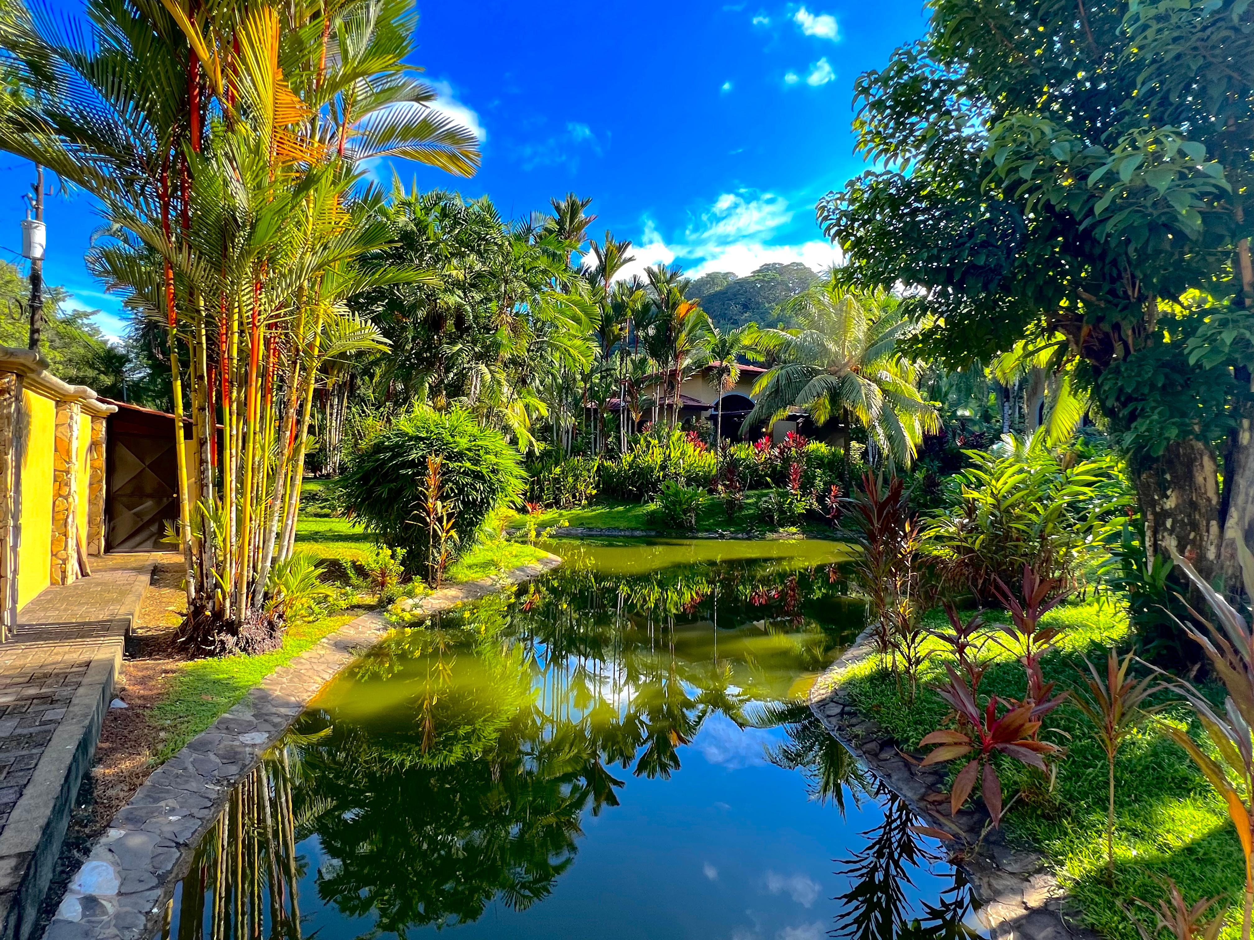 Lush jungle pond and gardens at the villa