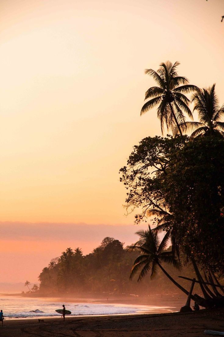 Pavones beach at sunset — palms and a surfer walking the sand